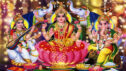 dhanalakshmisilks.com